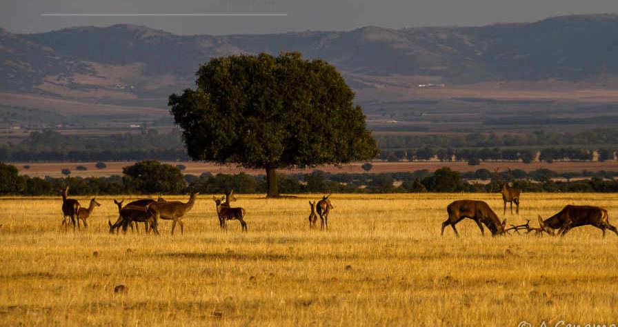 Natural Landscape location in Spain — Vista Productions