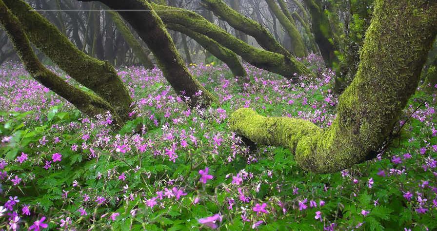 Natural Landscape location in Spain — Vista Productions