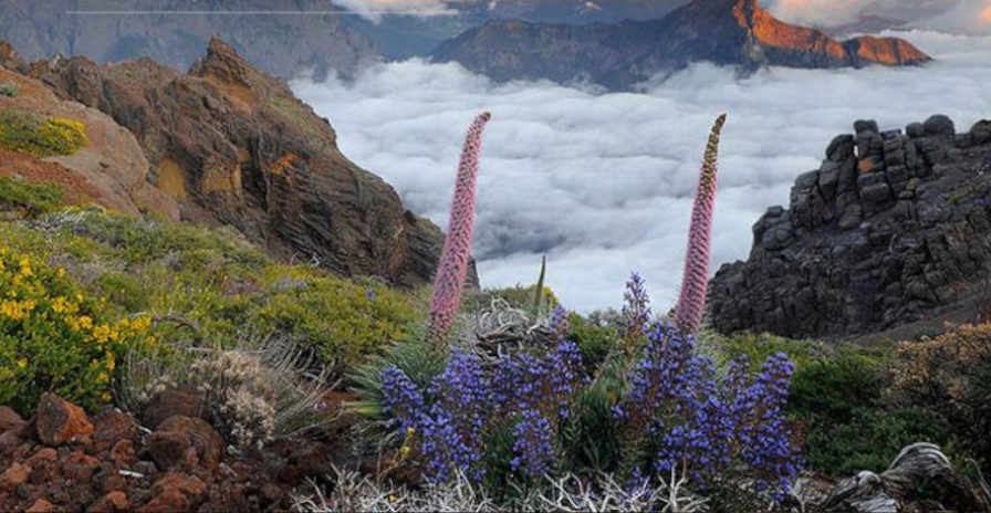 Natural Landscape location in Spain — Vista Productions