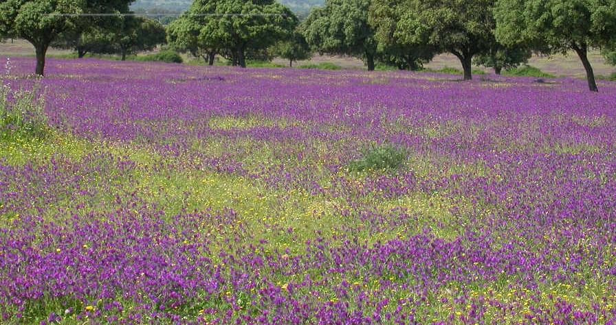 Natural Landscape location in Spain — Vista Productions