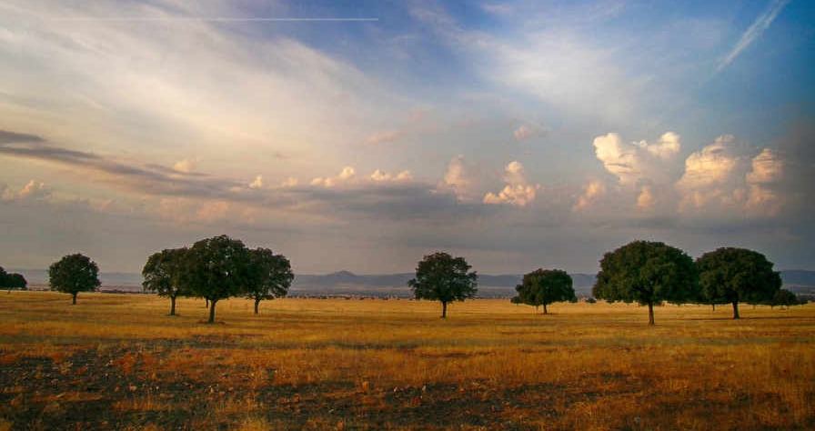 Natural Landscape location in Spain — Vista Productions