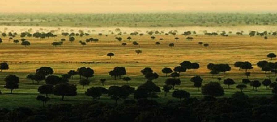Natural Landscape location in Spain — Vista Productions