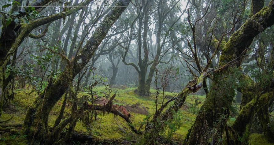 Natural Landscape location in Spain — Vista Productions