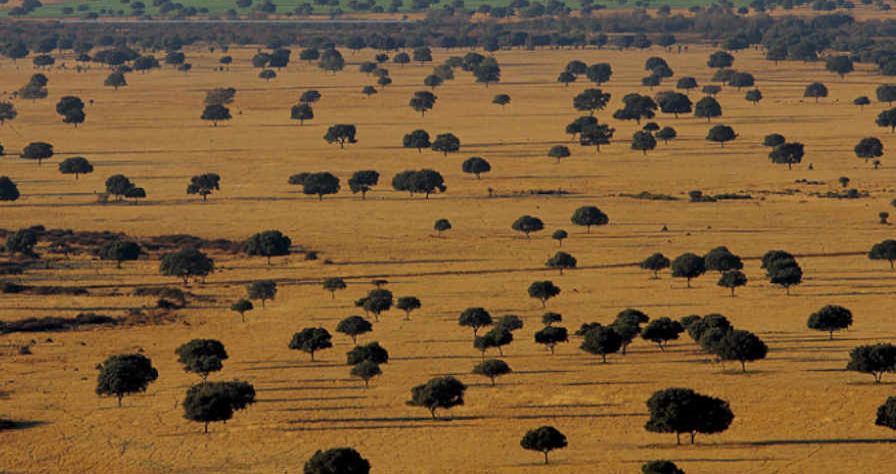 Natural Landscape location in Spain — Vista Productions