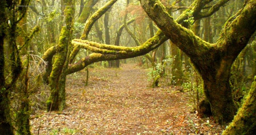 Natural Landscape location in Spain — Vista Productions