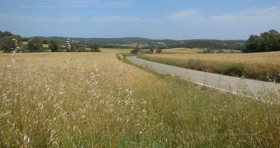 OTHER location in Spain — Vista Productions